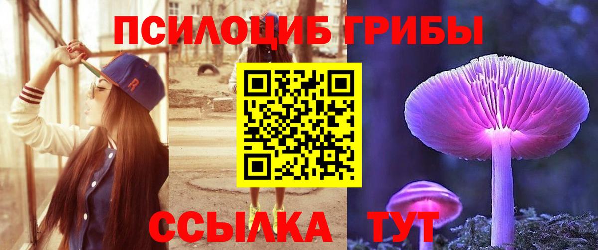 Красноармейск  Псилоцибиновые грибы MAGIC MUSHROOMS  закладки  Псилоцибиновые грибы Psilocybine cubensis  Вход с VPN 